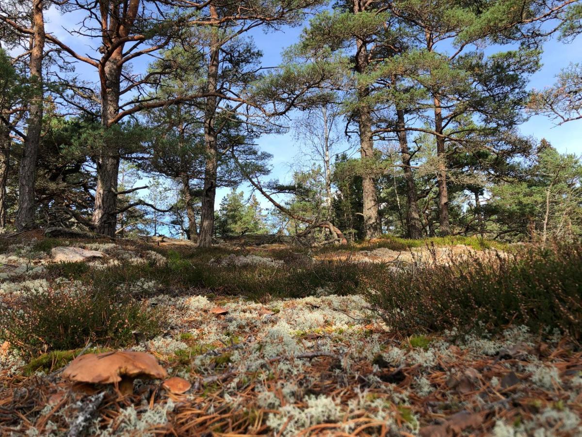 Mysig Och Modern Stuga Pa Snoegard, Naera Havet Och Naturen Lur  Екстериор снимка