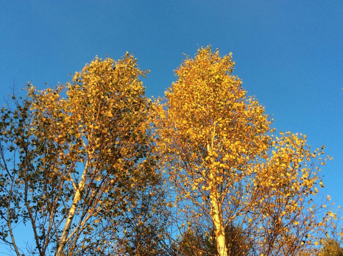 Mysig Och Modern Stuga Pa Snoegard, Naera Havet Och Naturen Lur  Екстериор снимка